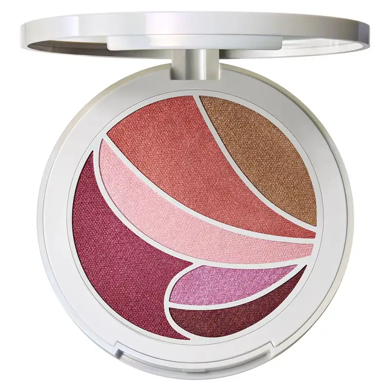 MAC Metamorphosis Spring Collection Face and Eye Palette Geprüft