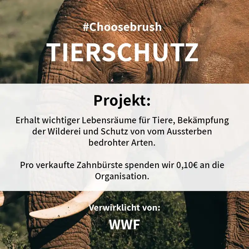 Schneller Versand Niyok Choosebrush - Bambus Zahnbürste mit Spende: Tierschutz 1 Stück
