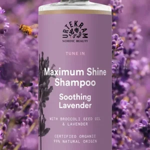 Kostenloser Versand Shampoo Maximum Shine Soothing Lavender 500 ml von Urtekram