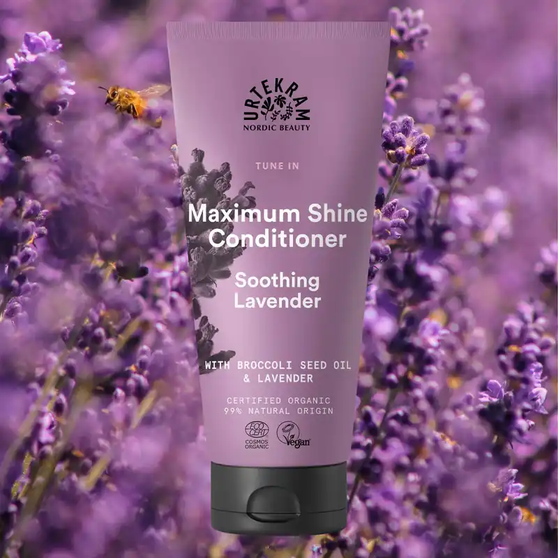 Conditioner Maximum Shine Soothing Lavender 180 ml von Urtekram Bestseller