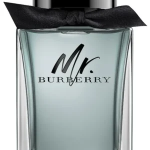 Neue Ware Burberry Mr. Burberry Eau de Toilette (EdT)