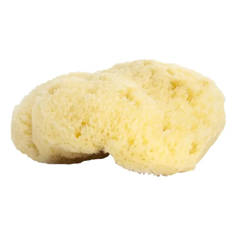 Natur-Schamm aus dem Mittelmeer Preisreduziert